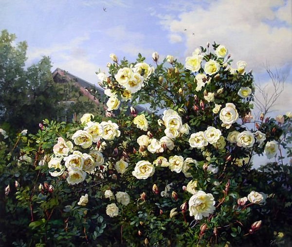 Николай Сапунов куст шиповника