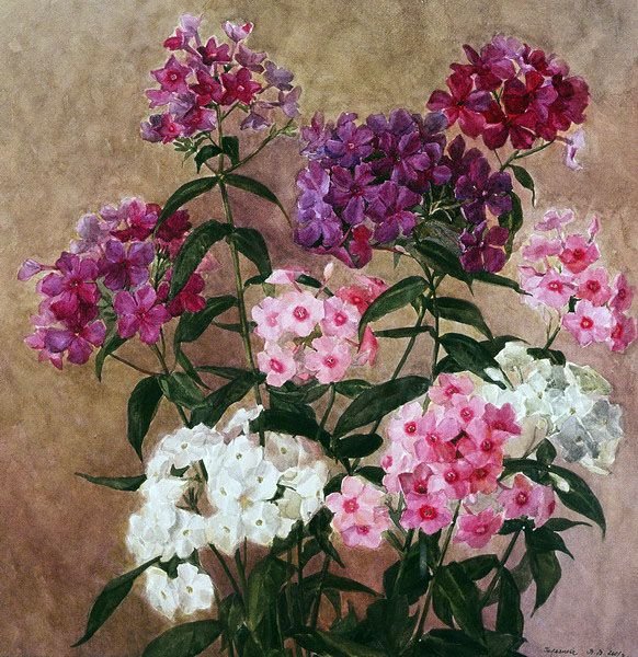 Юрий Арсенюк живопись цветы