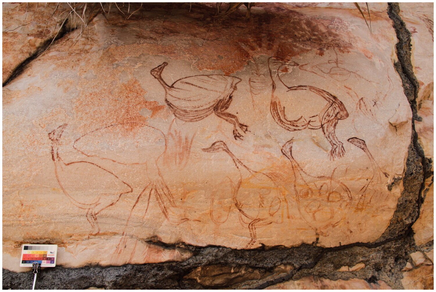 Наскальные рисунки аборигенов Австралии