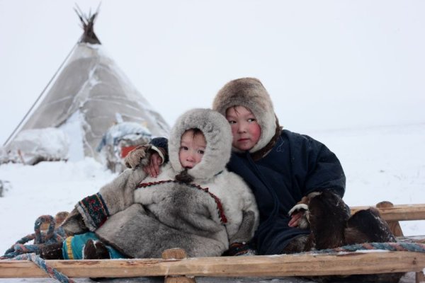 Жители севера для дошкольников