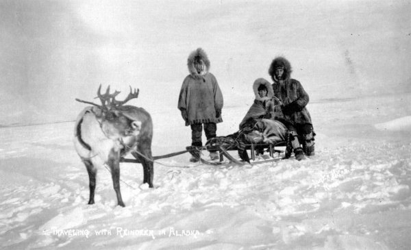 Нарты эскимосов