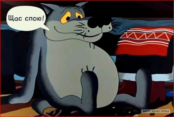 Щас спою мультик про волка
