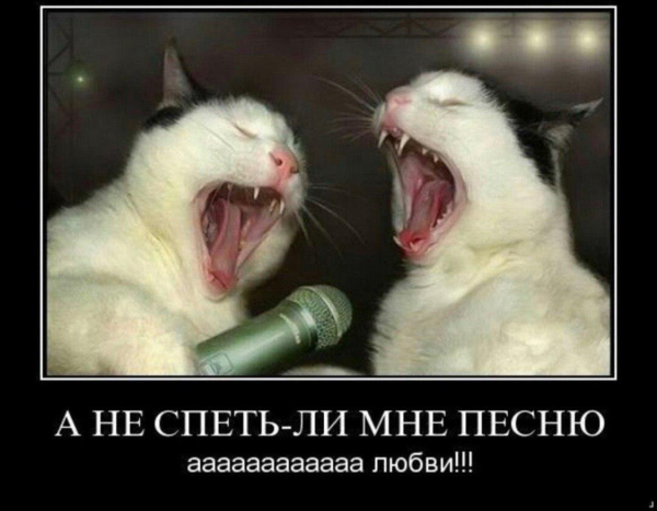 Фортепиано юмор