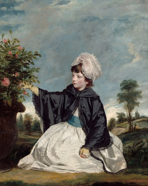 Джошуа Рейнольдс