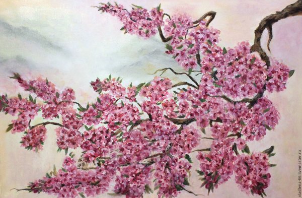 Сакура живопись