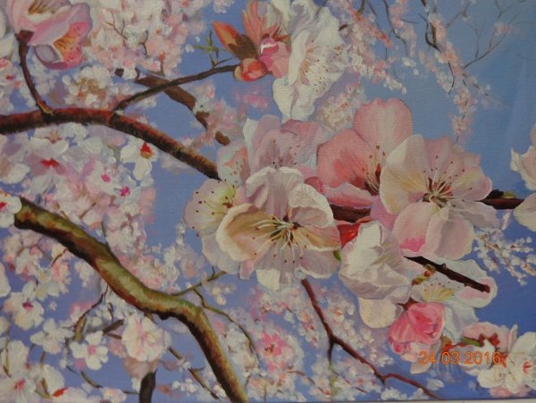 Картина Цветущая слива