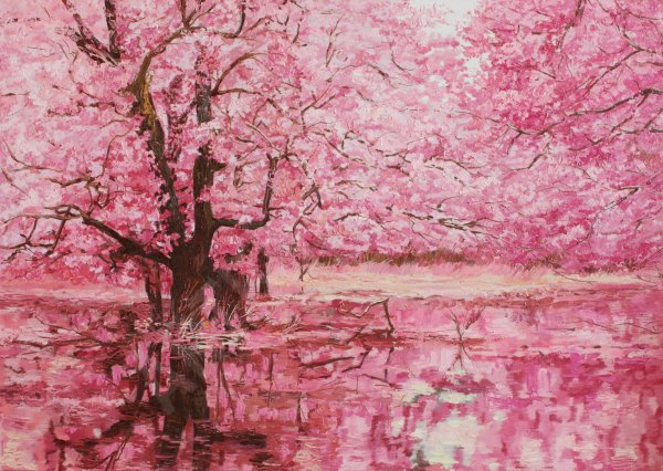 Сакура живопись