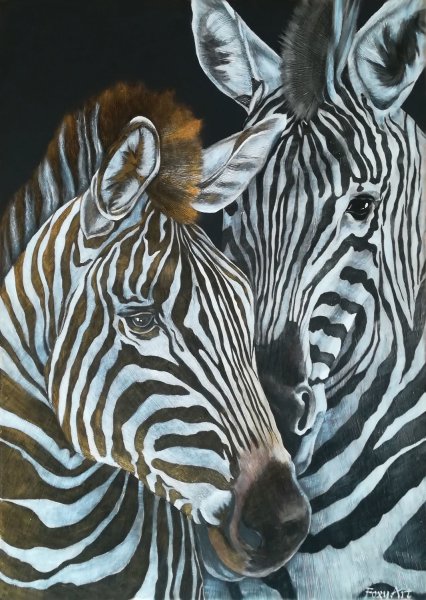 Гранни набор алмазной вышивки зебры (AG 580) 38х38 см