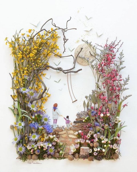 Гербарий композиции из засушенных растений