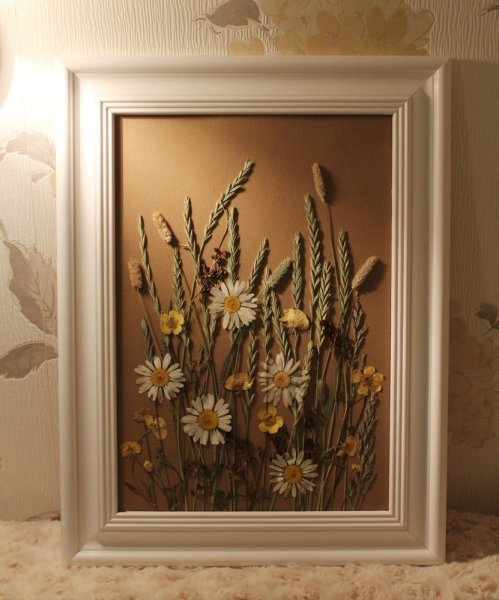 Панно с сухоцветами