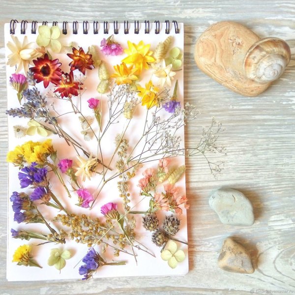 Панно из засушенных цветов