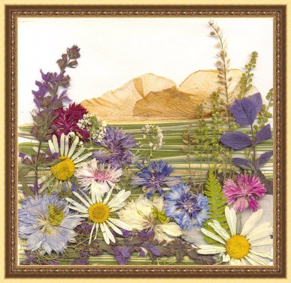 Панно из сухоцветов и природного материала