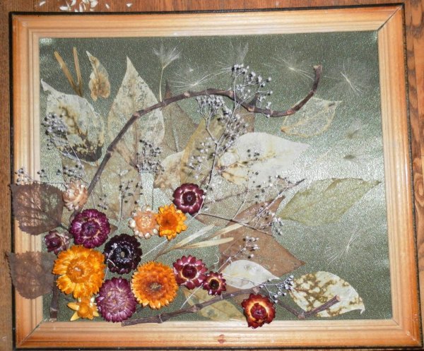 Сухая трава гербарий сухоцветы