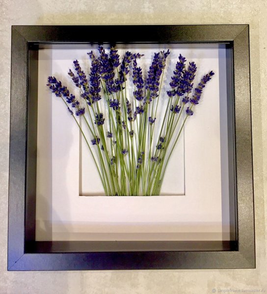 Аппликация из сухоцветов