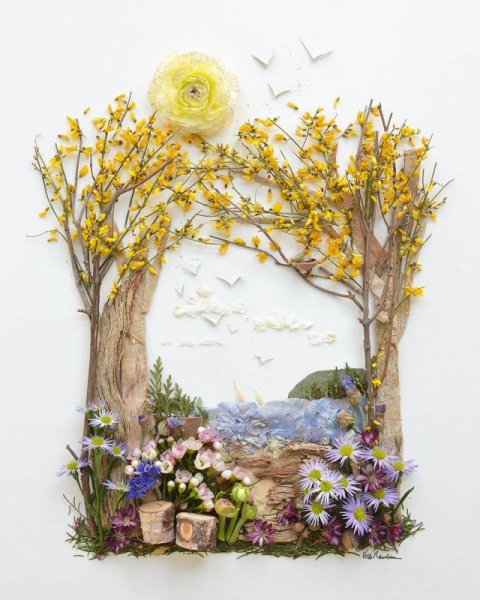 Гербарий из сухоцветов