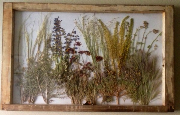Флористическое панно из сухоцветов