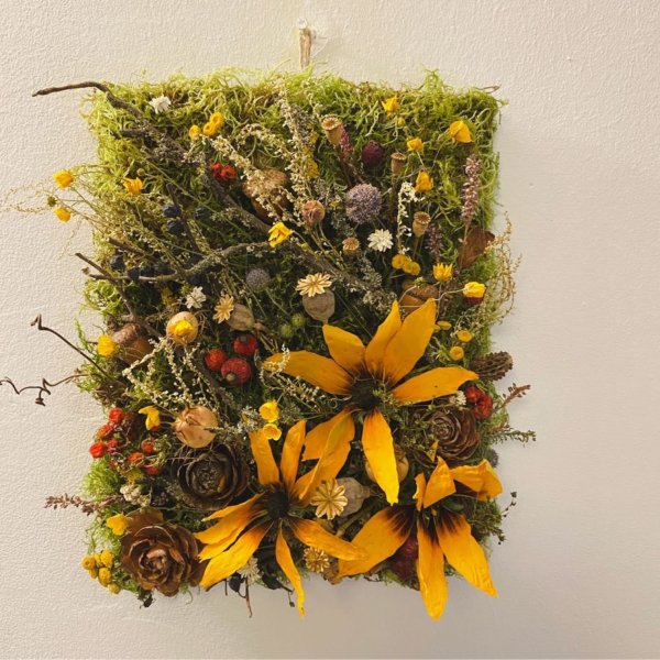 Гербарий в рамке