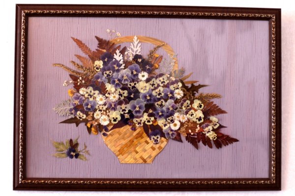 Гербарий из сухоцветов