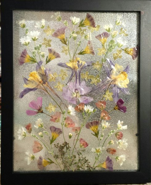 Настенный Гербариум