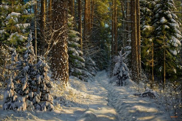 Неминущий Валерий художник