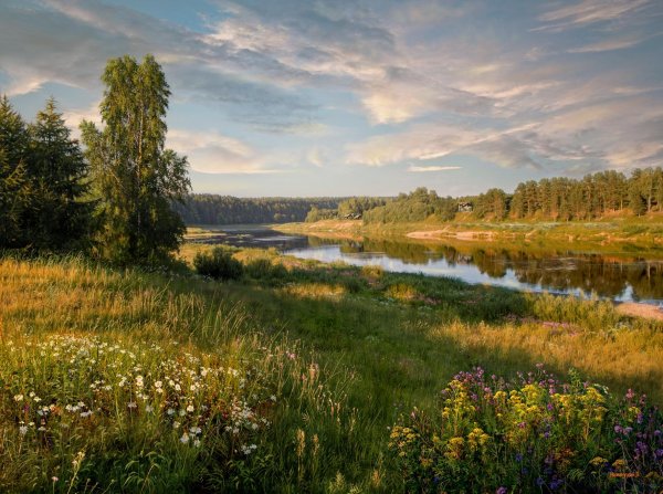 Художник Валерий Ниминущий пейзажи