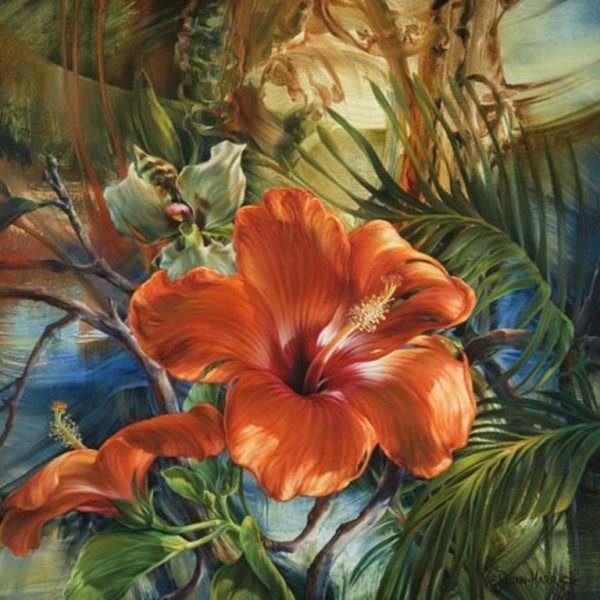 Цветы Данн Харр