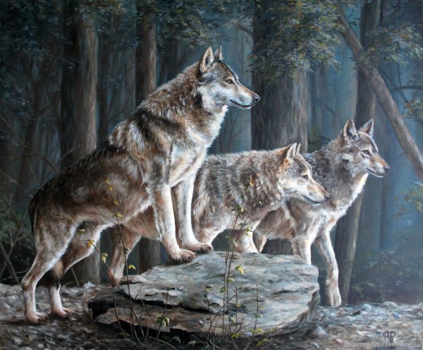 Алтайская художница София( картина стая Волков)?