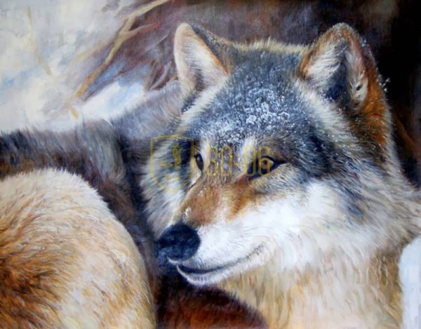 Волк маслом живопись