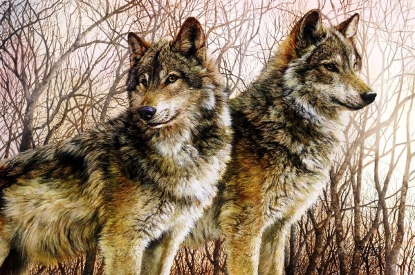 Художник Бонни Маррис