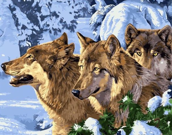 Три волка