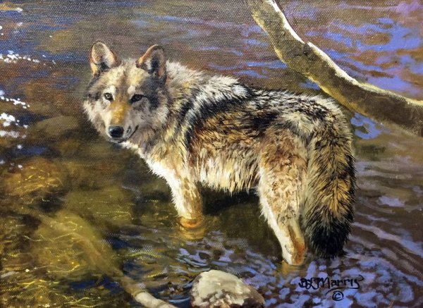 Художница: Bonnie Marris волки
