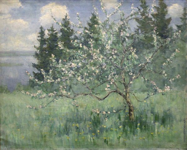 Тверская картинная галерея, Бялыницкий-Бируля