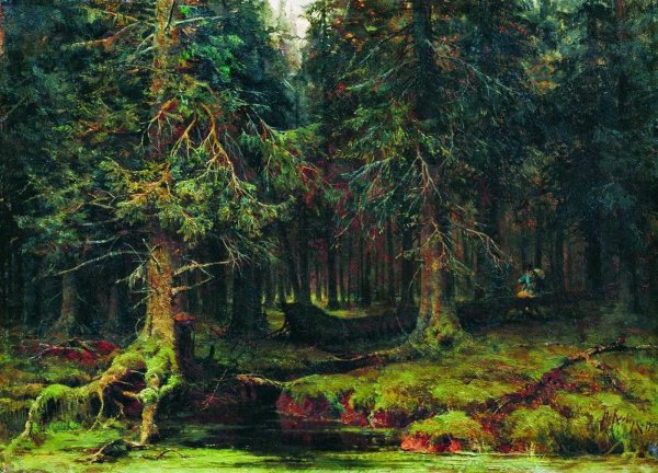 Шишкин Иван Иванович Лесная глушь