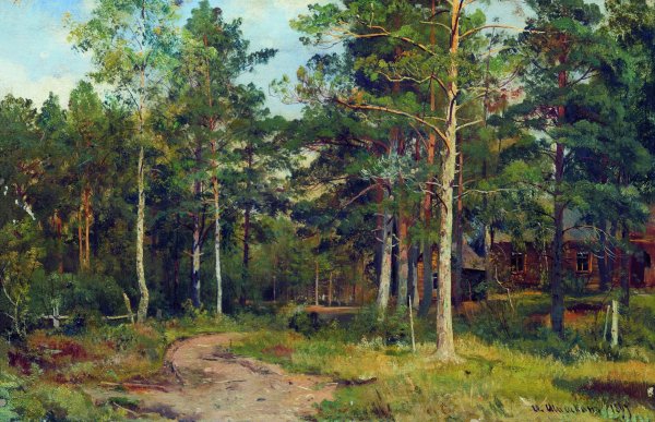 Иван Иванович Шишкин «осенний пейзаж. Парк в Павловске», 1888