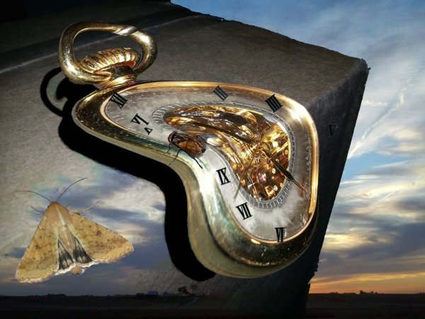 Сальвадор дали картины часы