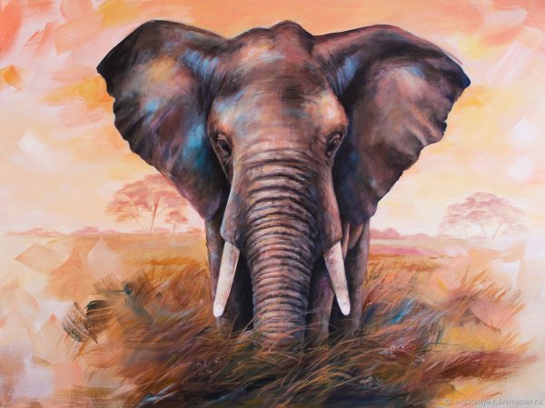 Слоны акрилом