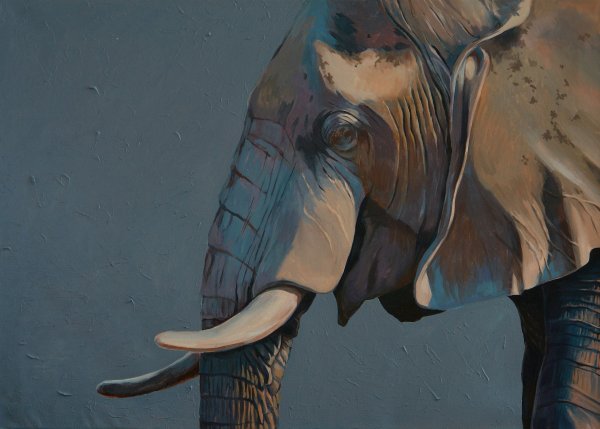 Слон живопись маслом
