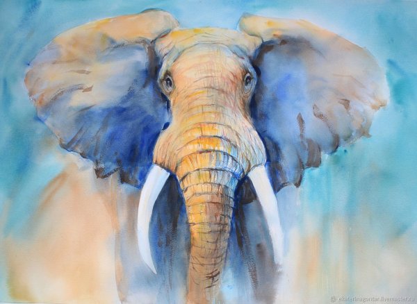 Африканский слон акварелью