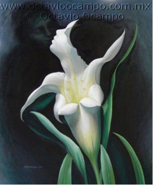 Октавио Окампо Дон Кихот