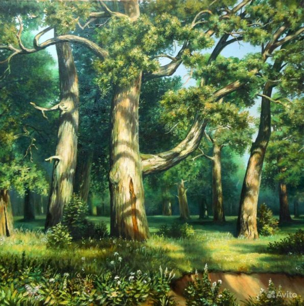 Шишкин дубовая роща