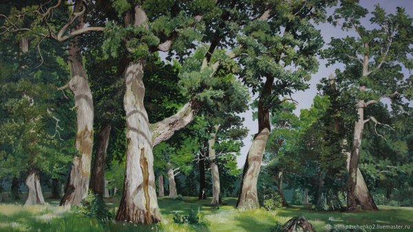 Иван Шишкин дубовый лес