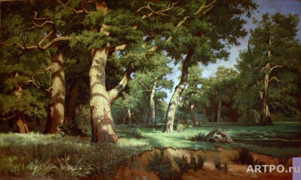 «Дубовая роща» Шишкин дубовая