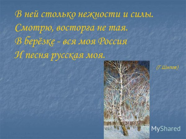 Береза к сочинение Февральская лазурь