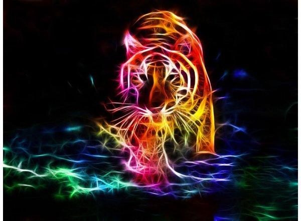 Тигр абстракция