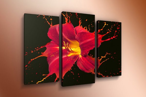 Картина из 3х частей
