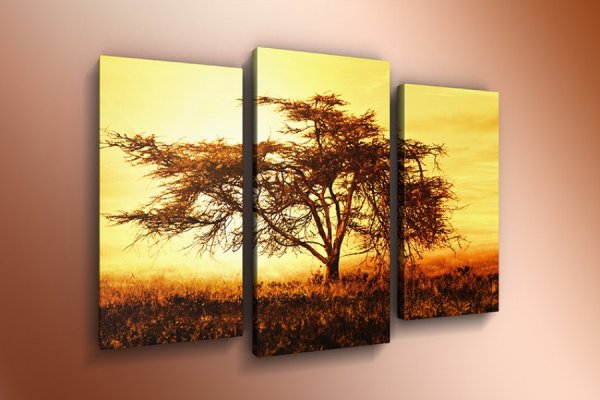 Модульные фотокартины для интерьера