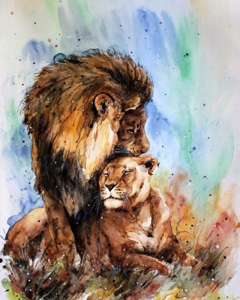 Лев и львица акварель