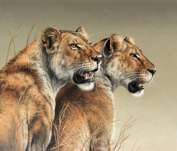 Лев и львица арты