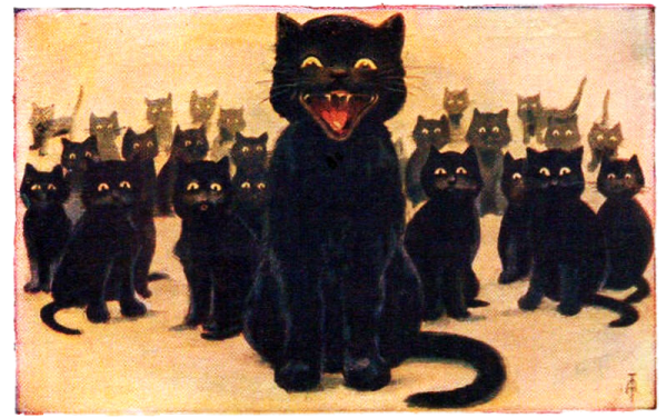 Луис Уэйн черный кот