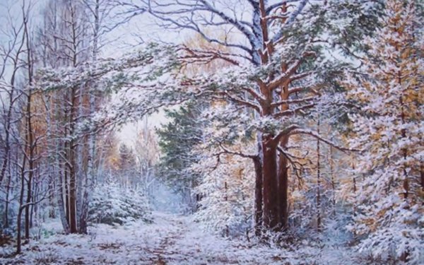 Зимний лес, Мартюшев Юрий